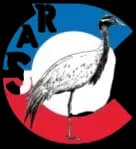 ChemRAS Logo